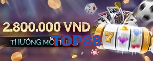 TOP88