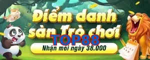 TOP88